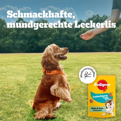Sparpaket Pedigree Leckerbissen: Kau-Happen Huhn & Ente & Mini-Happen Käse & Rind Sparpaket Pedigree Leckerbissen: Kau-Happen Huhn & Ente & Mini-Happen Käse & Rind