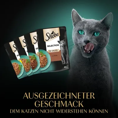 Sheba Selection in Sauce mit Ente, 85g. Ausgezeichneter Geschmack, dem Katzen nicht widerstehen können.