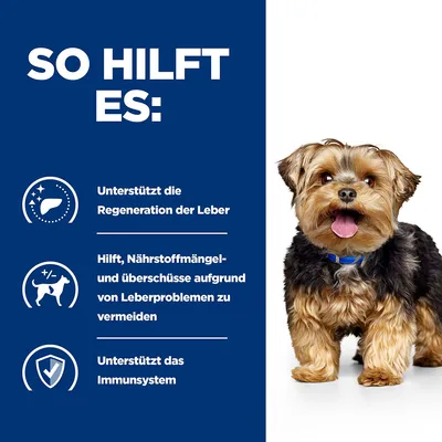 So hilft es: Unterstützt die Regeneration der Leber, hilft Nährstoffmängel und Überschüsse aufgrund von Leberproblemen zu vermeiden, unterstützt das Immunsystem.
