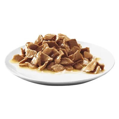 Assiette blanche contenant des morceaux de nourriture humide pour animaux, en sauce. Aucun emballage ni marque visible.