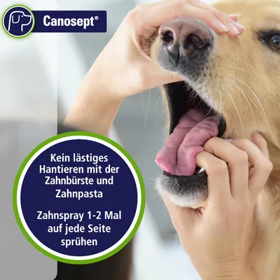 Canosept. Kein lästiges Hantieren mit der Zahnbürste und Zahnpasta. Zahnspray 1–2 Mal auf jede Seite sprühen. Tekst på tysk, billede af hunds mund åbnes.