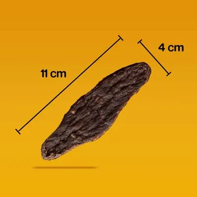 Afbeelding van een donkerbruine kauwsnack met afmetingen: lengte 11 cm, breedte 4 cm.