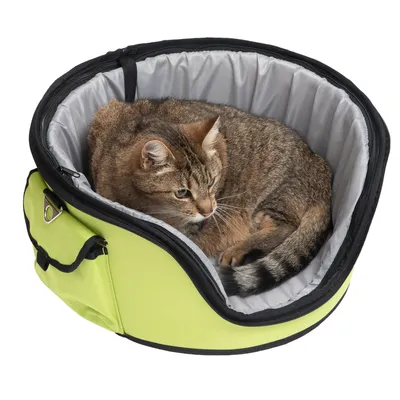 Chat tigré allongé dans un panier de transport vert et gris à parois souples, fermeture éclair visible, poignée sur le côté.