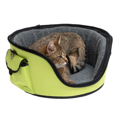 Chat allongé dans un panier de transport vert avec intérieur en tissu gris, poche latérale visible et fermeture éclair sur le bord supérieur.