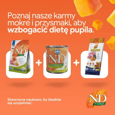 N&D Pumpkin karma sucha, mokra i przysmaki dentystyczne. Uzupełnij żywienie swojego pupila różnorodnymi produktami N&D. N&D Pumpkin karma sucha, mokra i przysmaki dentystyczne. Uzupełnij żywienie swojego pupila różnorodnymi produktami N&D.