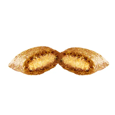 Close-up of a single pet food kibble cut in half, showing a crunchy outer layer and a soft, creamy filling inside.