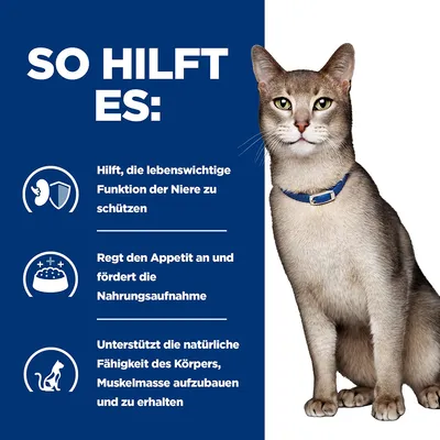 So hilft es: Schutz der Nierenfunktion, Anregung des Appetits und Förderung der Nahrungsaufnahme, Unterstützung beim Aufbau und Erhalt von Muskelmasse. Katze rechts abgebildet.