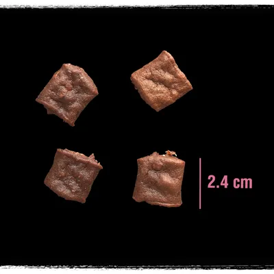Štirje rjavi prigrizki velikosti 2,4 cm na črni podlagi.