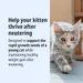 Virbac Veterinary HPM Junior Neutered Cat