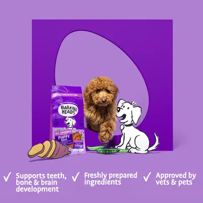 Product image showing pet food with claims: supports teeth, bone and brain development, freshly prepared ingredients, approved by vets and pets.