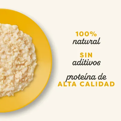 Applaws Natural Kitten en caldo 48 x 50 g - Pack ahorro