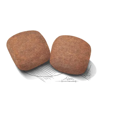 Два кафяви квадратни гранули за храна, поставени върху скица с мащаб 1 см, показваща размера на гранулите спрямо линията.