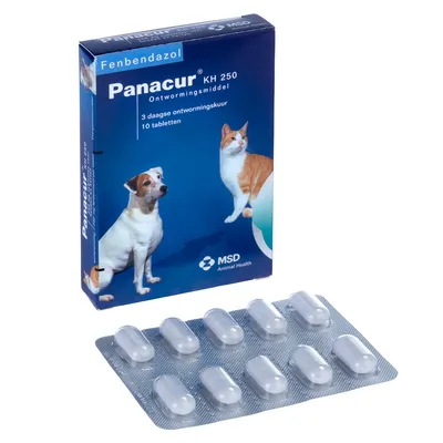 Panacur KH 250 ontwormingsmiddel, 3-daagse ontwormingskuur, 10 tabletten. Verpakking toont hond en kat. Merk: MSD Animal Health. Blister met 10 tabletten zichtbaar.