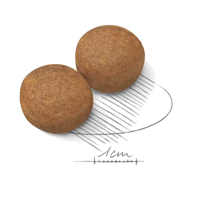 Две кръгли гранули суха храна с размерна скала, показваща диаметър приблизително 1 см.