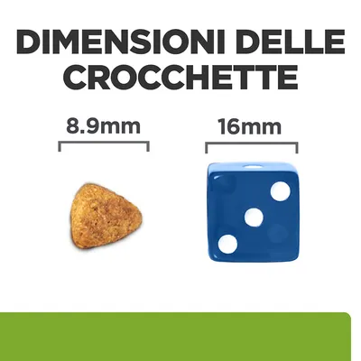 Dimensioni delle crocchette: 8,9 mm accanto a un dado blu da 16 mm per confronto visivo.
