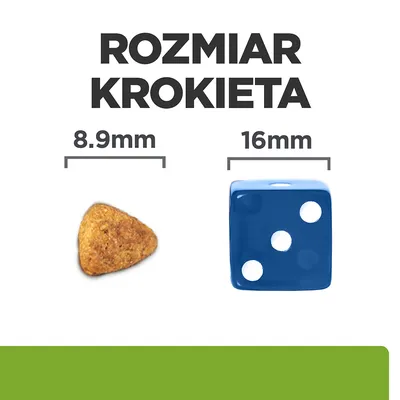 Rozmiar krokieta: 8,9 mm obok kostki do gry 16 mm. Porównanie wielkości granulki karmy i kostki.