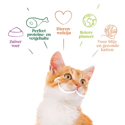 Zuiver voer, perfect proteïne- en vetgehalte, dierenwelzijn, betere planeet, voor blije en gezonde katten. Tekst met illustraties boven een oranje-witte kat.