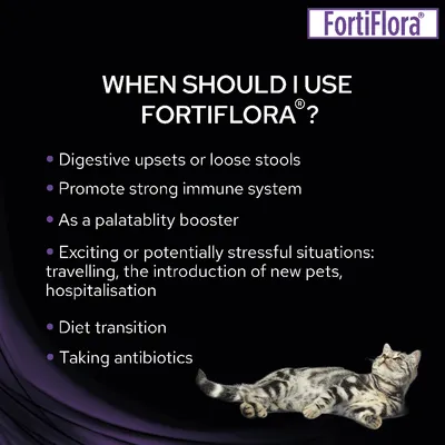 When to use FortiFlora: digestive upsets, immune support, palatability booster, stressful situations, diet transition, taking antibiotics. Brand name FortiFlora shown.