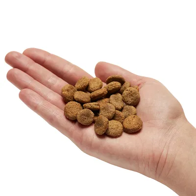 Hand mit einer Portion brauner Trockenfutterstücke, zeigt die Grösse und Form der Futterstücke.