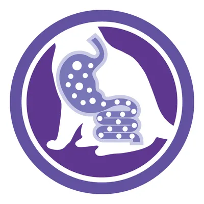 Pictogramme violet d’un chat avec estomac et intestins stylisés, points blancs visibles dans le système digestif. Aucun texte visible.