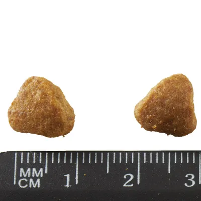 Two triangular brown kibble pieces shown above a black ruler with millimetre and centimetre markings, each piece about 1.5 cm wide.