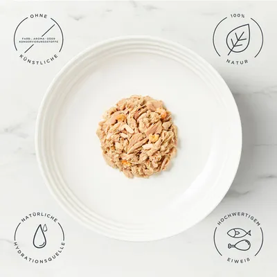 Encore Dose 16 x 70 g