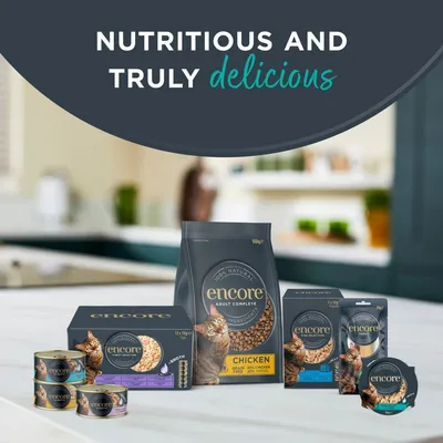 Encore Cat Tin Multibuy 48 x 70g