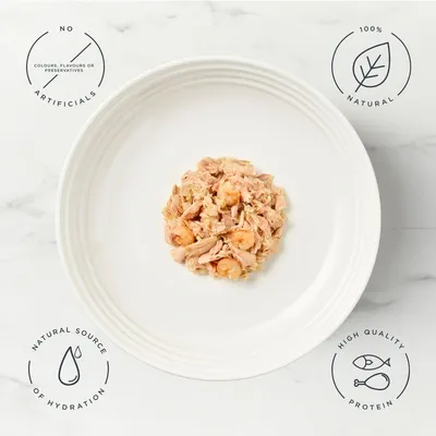 Encore Cat Broth Pouch 16 x 70g