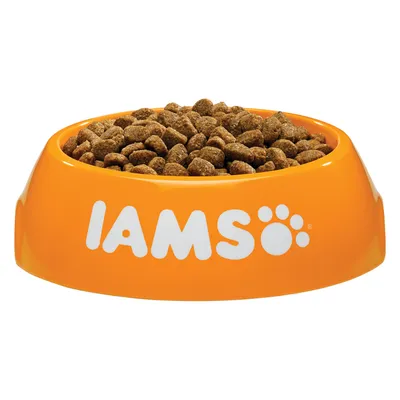 Cuenco naranja con el texto IAMS lleno de croquetas marrones para mascotas. El cuenco es de plástico y muestra claramente la marca en letras blancas.