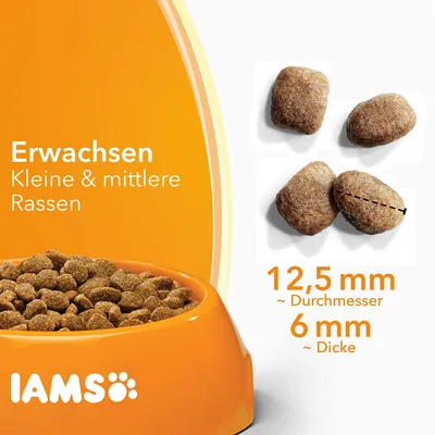IAMS Erwachsen Kleine & mittlere Rassen -koiranruokanappuloita oranssissa kupissa, nappulan koko: halkaisija 12,5 mm, paksuus 6 mm. Teksti saksaksi.