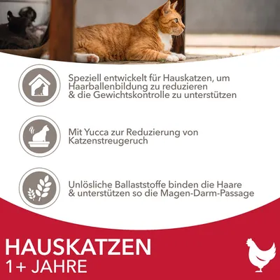 Speziell für Hauskatzen ab 1 Jahr: Reduziert Haarballenbildung, unterstützt Gewichtskontrolle, reduziert Katzenstreugeruch mit Yucca, unlösliche Ballaststoffe fördern die Verdauung.