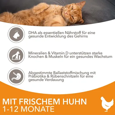 Mit frischem Huhn, geeignet für Katzen von 1-12 Monaten. DHA für Gehirnentwicklung, Mineralien & Vitamin D für Wachstum, Ballaststoffe mit Präbiotika für Verdauung.