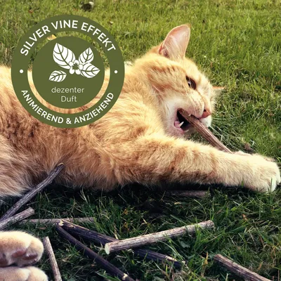 Katze auf Gras mit Silver Vine Sticks. Text: Silver Vine Effekt, animierend & anziehend, dezenter Duft.