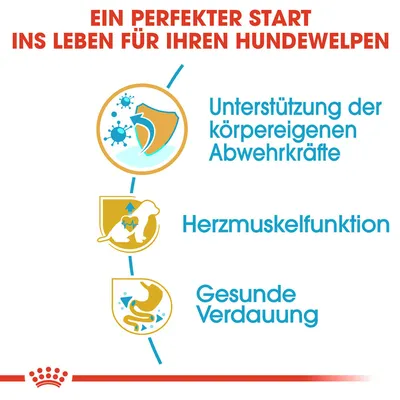 Ein perfekter Start ins Leben für Ihren Hundewelpen: Unterstützung der körpereigenen Abwehrkräfte, Herzmuskelfunktion, gesunde Verdauung.