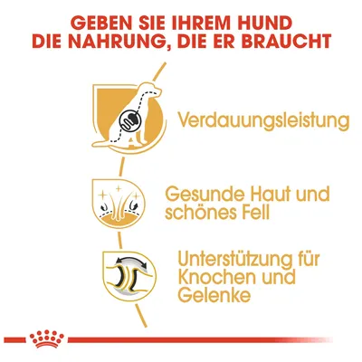Geben Sie Ihrem Hund die Nahrung, die er braucht: Verdauungsleistung, gesunde Haut und schönes Fell, Unterstützung für Knochen und Gelenke.