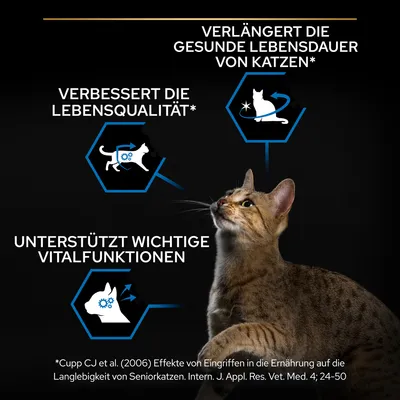 Verlängert die gesunde Lebensdauer von Katzen, verbessert die Lebensqualität und unterstützt wichtige Vitalfunktionen. Studie: Cupp CJ et al. (2006) zur Ernährung von Seniorkatzen.