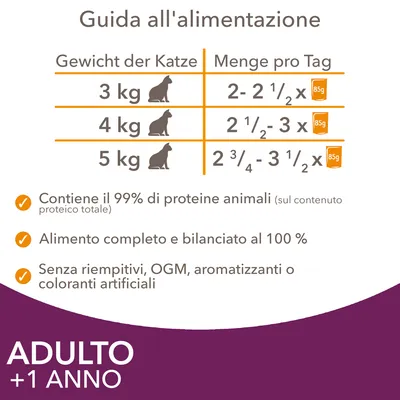 IAMS Advanced Nutrition Adult in Gelatina 12 x 85 g