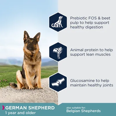 Prebiotic FOS and beet pulp for digestion, animal protein for lean muscles, glucosamine for joints. For German Shepherds 1 year and older, also suitable for Belgian Shepherds.