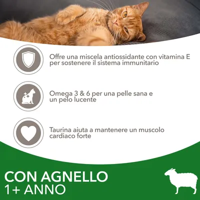 Offre una miscela antiossidante con vitamina E, Omega 3 & 6 per pelle e pelo, taurina per muscolo cardiaco forte. Con agnello, 1+ anno.