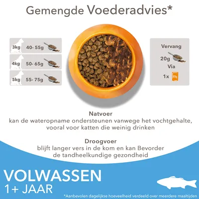 IAMS Advanced Nutrition Adult Cat met Vis