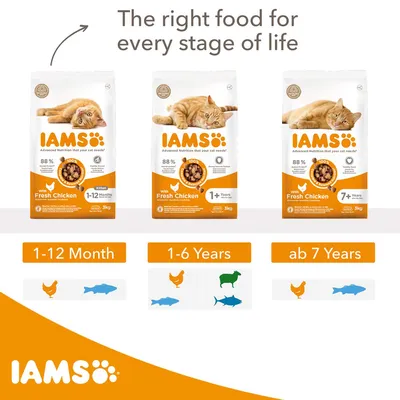 Three IAMS dry food packs for different life stages: 1-12 months, 1-6 years, and 7+ years. Icons show chicken and fish for all, with lamb added for 1-6 years. Text: The right food for every stage of life.