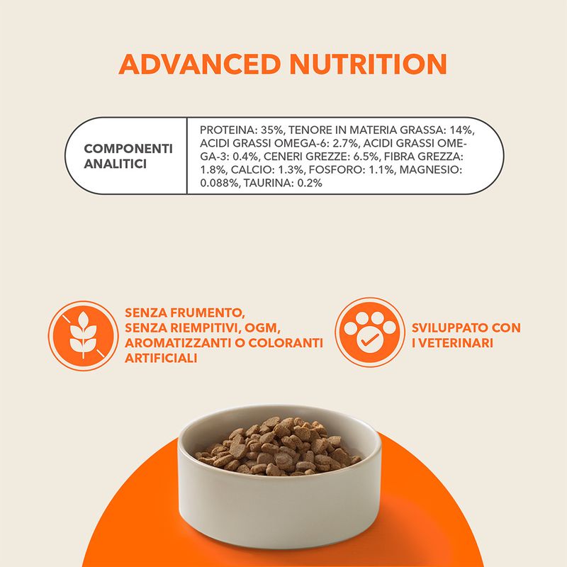 IAMS Advanced Nutrition Adult Cat con Salmone