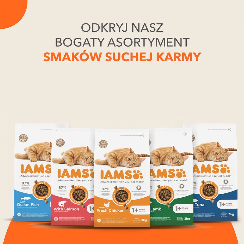 IAMS Advanced Nutrition Adult Cat, łosoś