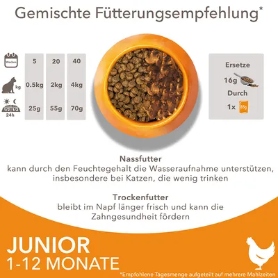 Gemischte Fütterungsempfehlung für Junior Katzen 1-12 Monate: Nassfutter unterstützt Wasseraufnahme, Trockenfutter fördert Zahngesundheit. Tabelle mit Gewicht und Tagesmengen.