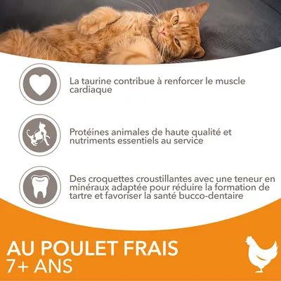 Au poulet frais 7+ ans. La taurine contribue à renforcer le muscle cardiaque. Protéines animales de haute qualité. Croquettes croustillantes pour la santé bucco-dentaire.
