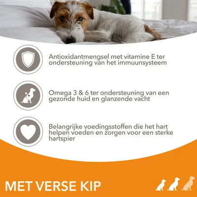 Antioxidantmengsel met vitamine E, omega 3 & 6 voor huid en vacht, voedingsstoffen voor hartspier. Met verse kip.