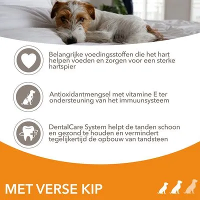 Belangrijke voedingsstoffen voor hart, antioxidantmengsel met vitamine E voor immuunsysteem, DentalCare System helpt tanden schoon te houden. Met verse kip.