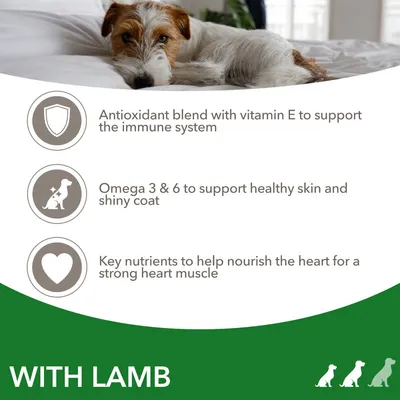 Antioxidant blend with vitamin E for immune system, omega 3 and 6 for healthy skin and shiny coat, key nutrients to nourish heart muscle. With lamb.