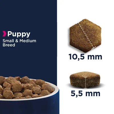 Kibble for puppy small and medium breed shown with dimensions: 10.5 mm width and 5.5 mm height, alongside a bowl filled with kibble pieces.