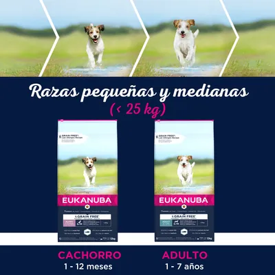 Pienso Eukanuba Grain Free para razas pequeñas y medianas (<25 kg). Cachorro 1–12 meses, Adulto 1–7 años. Dos sacos visibles con perro en el envase.